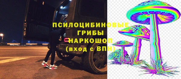 apvp Абаза