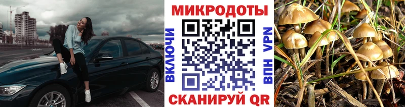 Галлюциногенные грибы прущие грибы  ссылка на мегу ТОР  Белый 
